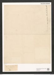 Peronia erinacea Breb. et Arndt (de-Toni-Nr.: Genus 65, Species 2580) Zeichnungen Sammlung Grunow (NHMW-BOT-W0373464)